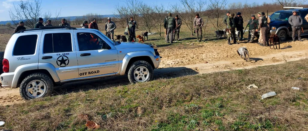 UPDATE: FOTO-VIDEO. Fermă de oi dintr-o localitate din Dolj, atacată de șacali. Zeci de animale au fost ucise / Vânătorii au reușit capturarea unui prădător