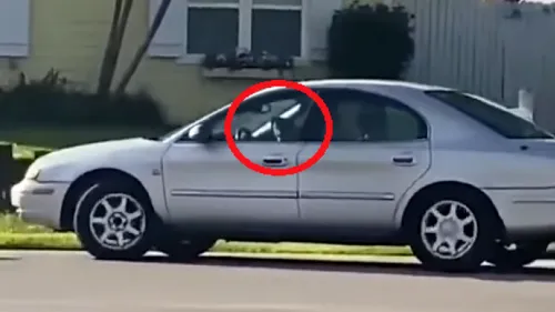 Incident bizar. Un câine a fost filmat „conducând mașina stăpânului. Cum a fost posibil- VIDEO