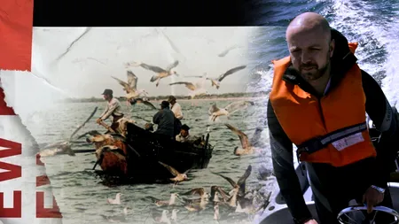 EXCLUSIV | Ecosistemul și marginile răbdării. Confesiunea unui biolog marin care a stat opt luni sub apă și secretele de la zeci de metri adâncime