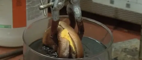 Ce se întâmplă dacă pui un cheeseburger în acid hidrocloric. VIDEO