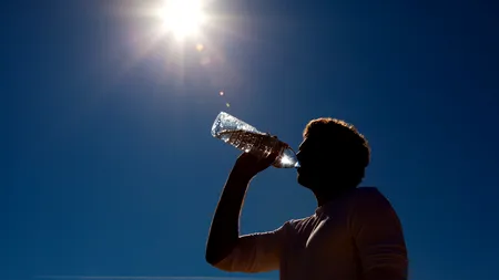 2016, cel mai cald an înregistrat vreodată