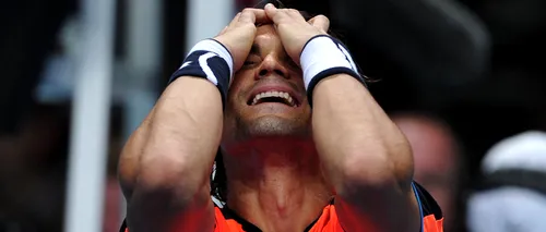 David Ferrer s-a calificat în sferturi la Roland Garros
