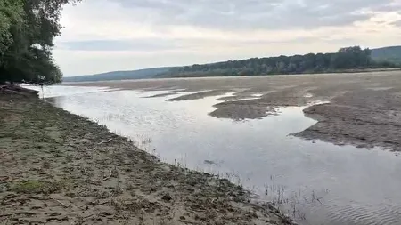 Navigația pe Dunăre, în pericol. Fluviul a secat în zona Piscu Vechi din Dolj 