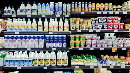 Laptele s-a scumpit cu un LEU din cauza secetei din vara trecută. Cresc prețurile la smântână, iaurt, unt, cașcaval și brânză topită