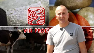 BRÂNZETURILE lui Cristinel Solomon, după rețete ajunse la a treia generație, au la bază lapte proaspăt de la văcuțe și oi crescute în libertate