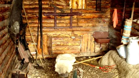 Doi sibieni le-au promis unor tinere, inclusiv minore, găzduire la o stână. Ce s-a întâmplat când fetele au ajuns acolo 