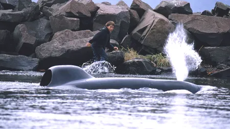 Lazy Mondays, cu lungmetraje de aventuri, în iulie la Warner TV