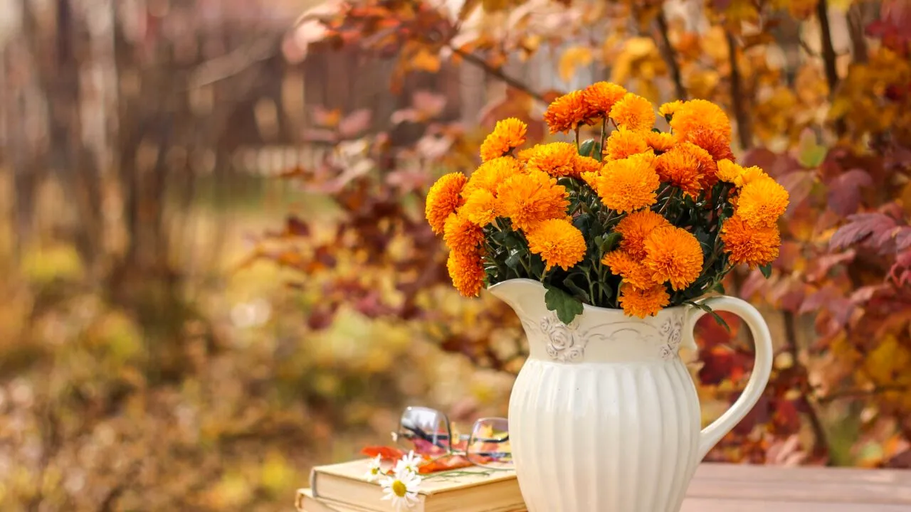 Vine toamna! Vreme rece în următoarele zile. Ce spun meteorologii + Prognoza meteo până la mijlocul lunii septembrie