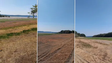 Imagini dezolante în zona Desa din Dolj. Dunărea pe unele brațe nu mai curge