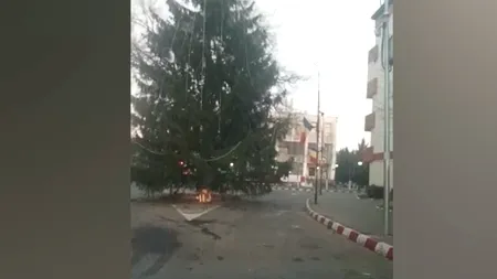 VIDEO | Brad de Crăciun, montat chiar în mijlocul unei intersecții. Mașinile abia pot trece pe lângă el