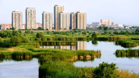 Planurile Primăriei Capitalei pentru Delta Văcărești. Proiectul, pus marți în discuție