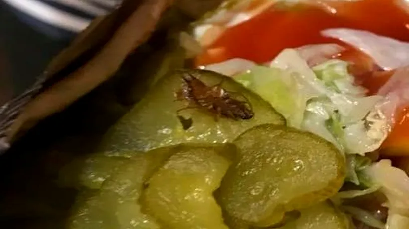 Un tânăr din Timișoara a găsit un gândac în shaorma. Ce au descoperit inspectorii ANPC când au cercetat cazul