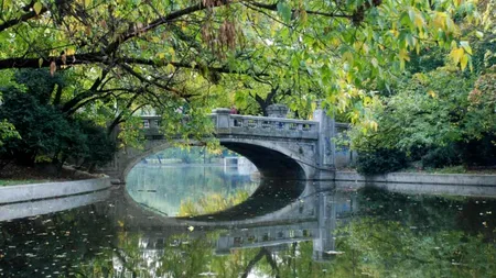 Actrița agresată în Cișmigiu, CRITICATĂ dur pe internet: „Îţi dai prea multă importanţă. Acum stai cu mufa umflată”