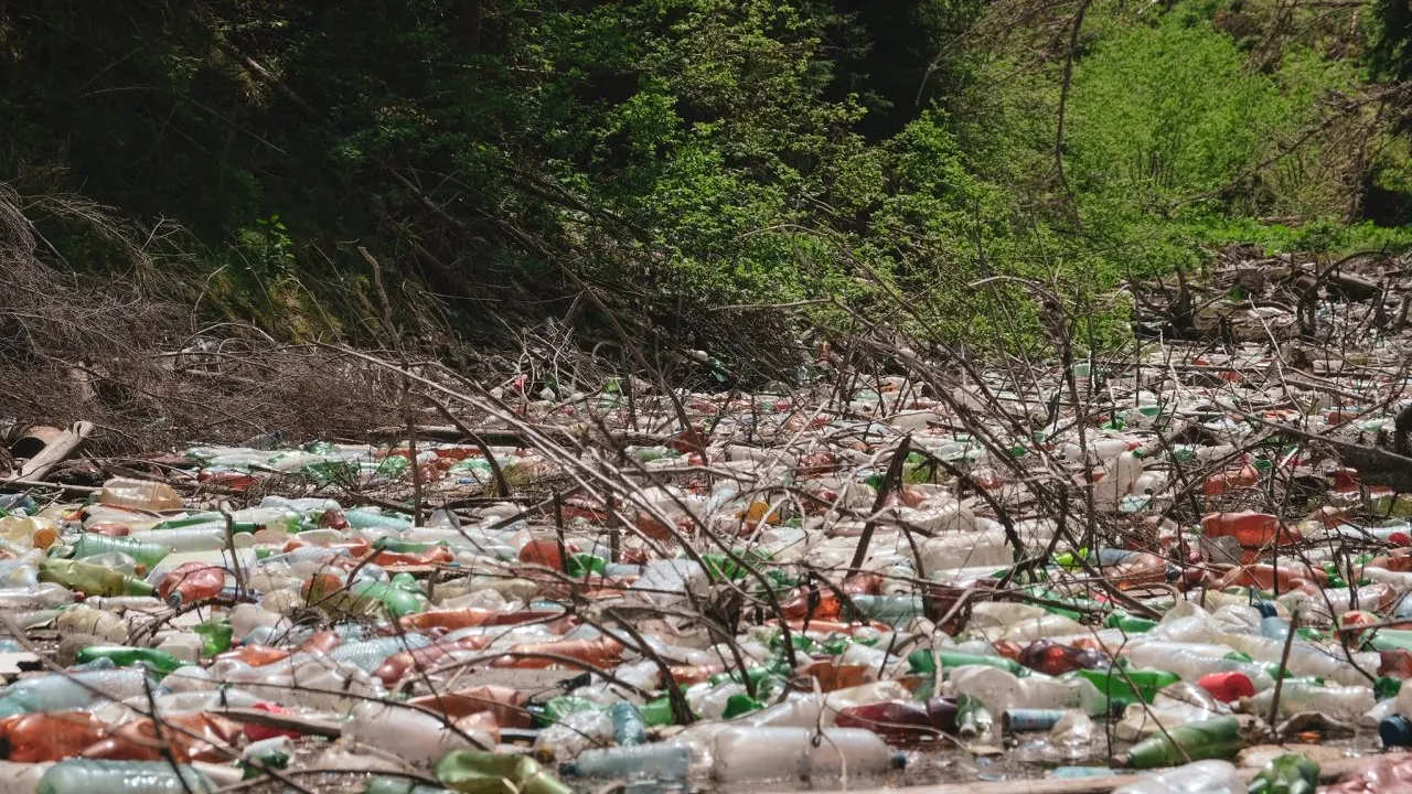 Imagini uluitoare din Apuseni, cu Lacul Beliș, acoperit de gunoaie. Deșeurile au fost strânse în 2 zile