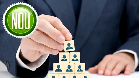 Cursuri noi în domeniul resurselor umane la ZFeLEARNING