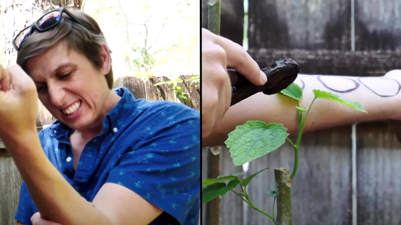 Cea mai PERICULOASĂ plantă din lume, care provoacă gânduri suicidale. Ce a pățit acest tânăr după ce a atins-o