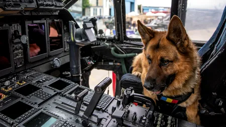 VIDEO | Tehnică militară de ultimă generație, la Romaero