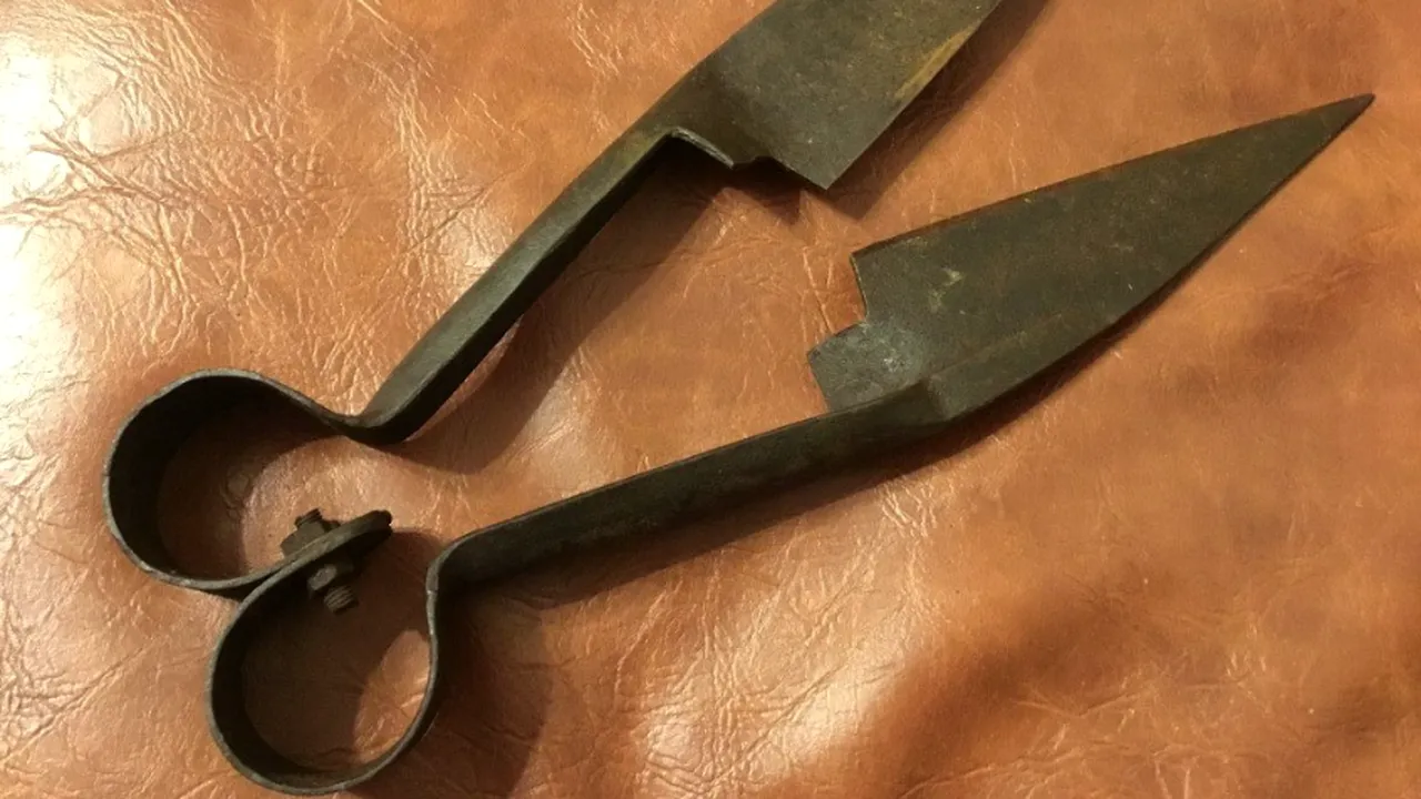 Legea grațierii face o nouă victimă: Adolescentă, BĂTUTĂ ȘI TUNSĂ cu foarfeca de oi de unchiul său, recidivist
