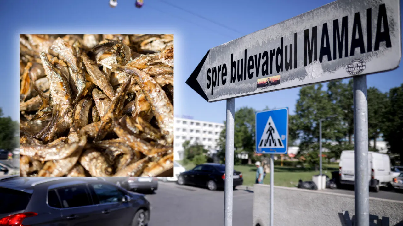 Ce reacție a avut un turist când a văzut prețul unei porții de hamsii în stațiunea Mamaia. „E la preț de aur!”