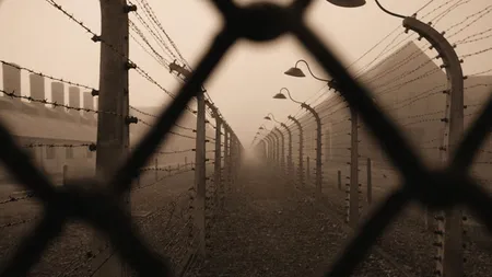 Huse de telefon cu victime ale Holocaustului și imagini cu Hitler, vândute de două magazine online. Reacția dură a muzeului Auschwitz - FOTO