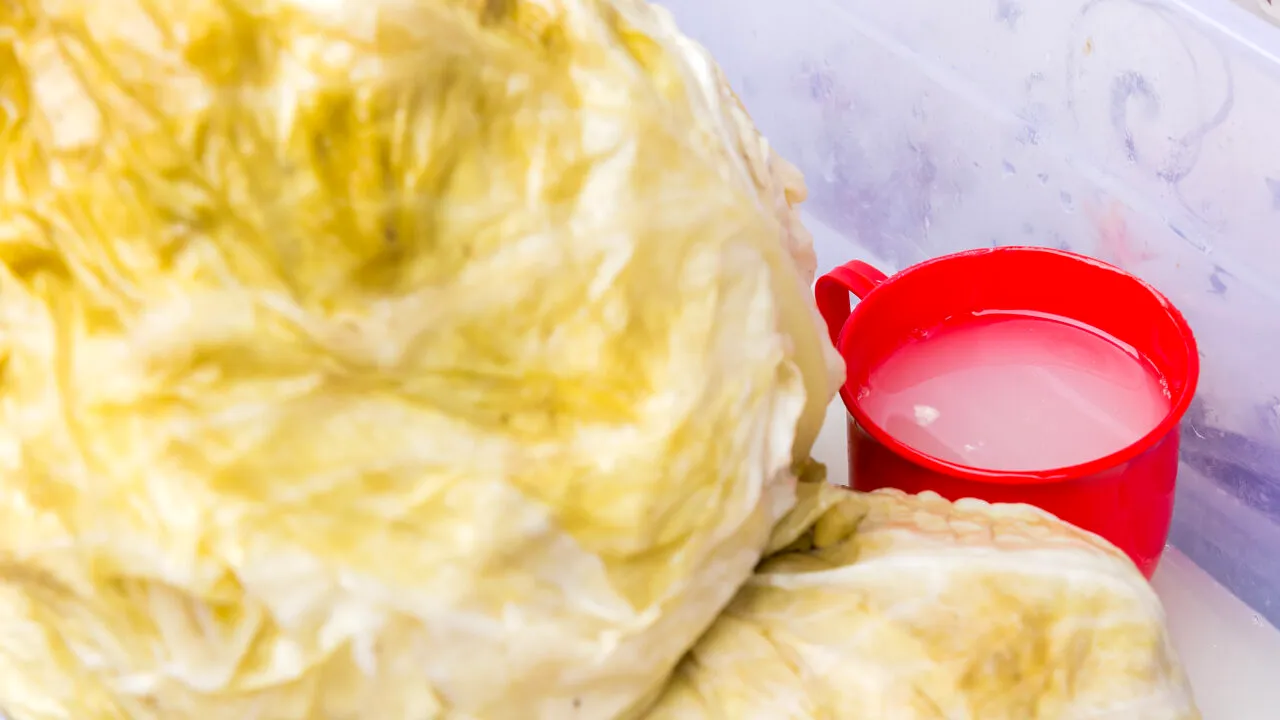 Ce poți face cu varza murată rămasă din iarnă. Cum să o păstrezi în stare bună, în borcan sau butoi