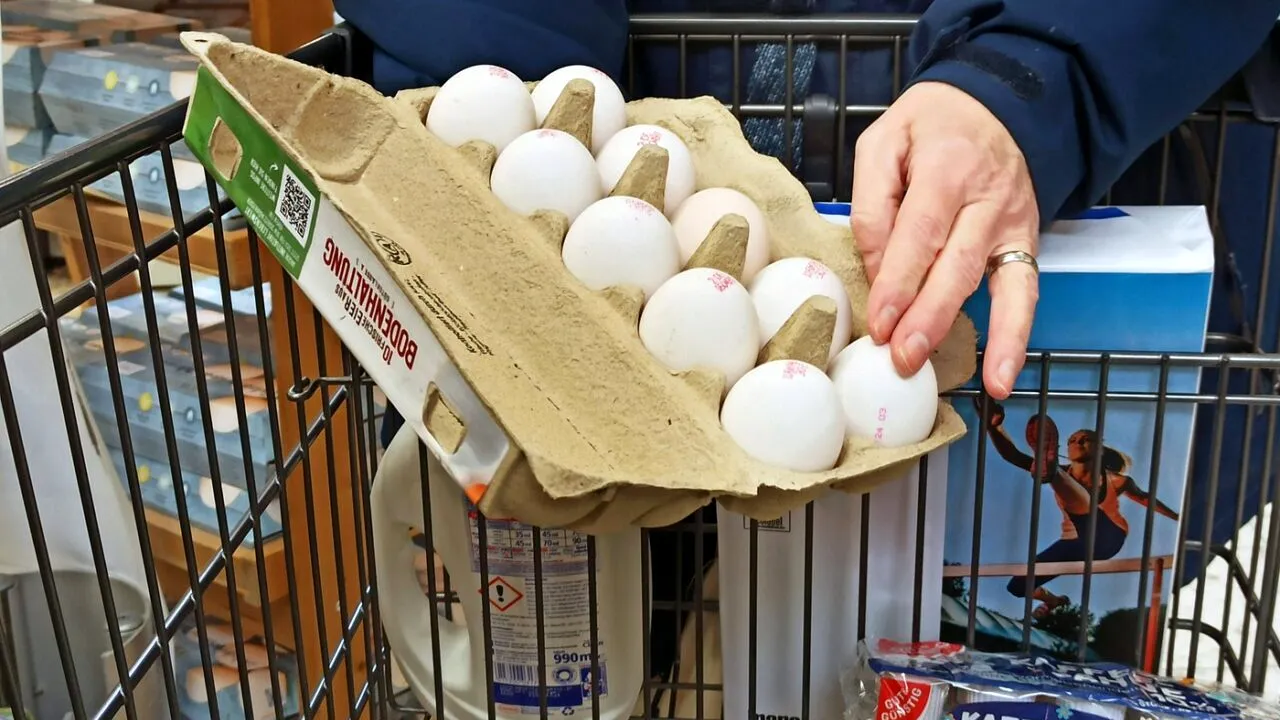 UE va introduce taxe vamale la importurile de OUĂ din Ucraina, în contextul măsurilor de protejare a pieței comunitare