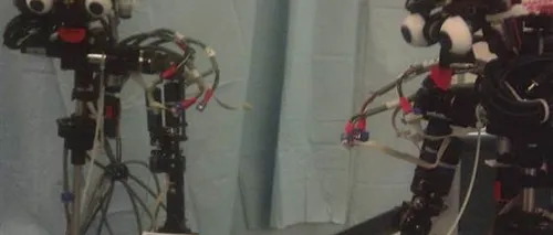Un robot ar putea trece în curând TESTUL OGLINZII