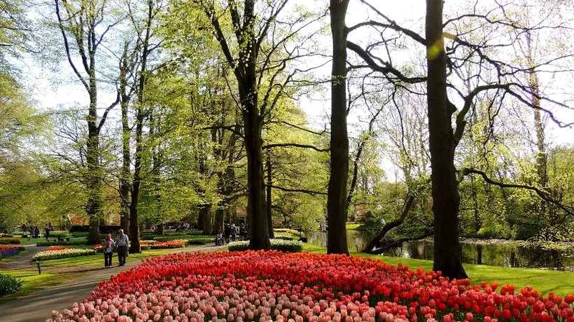 FOTO+VIDEO: Cât plătești pentru a vedea Grădina Europei în plin sezon al lalelelor olandeze