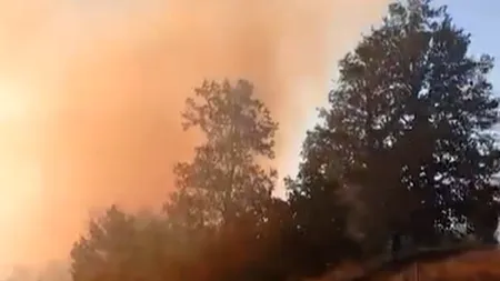 APEL disperat al pompierilor din Mehedinți: „Opriți incendierea vegetației uscate””