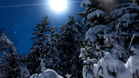 Când e solstițiul de iarnă 2024. Câte ore are cea mai lungă noapte din an