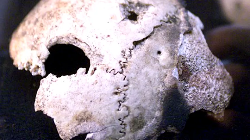 Craniul celui mai vechi hominid cunoscut, vechi de 3 milioane de ani, nu are caracteristici umane