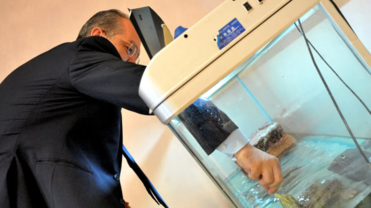 Ce a făcut Boc în prima zi de muncă