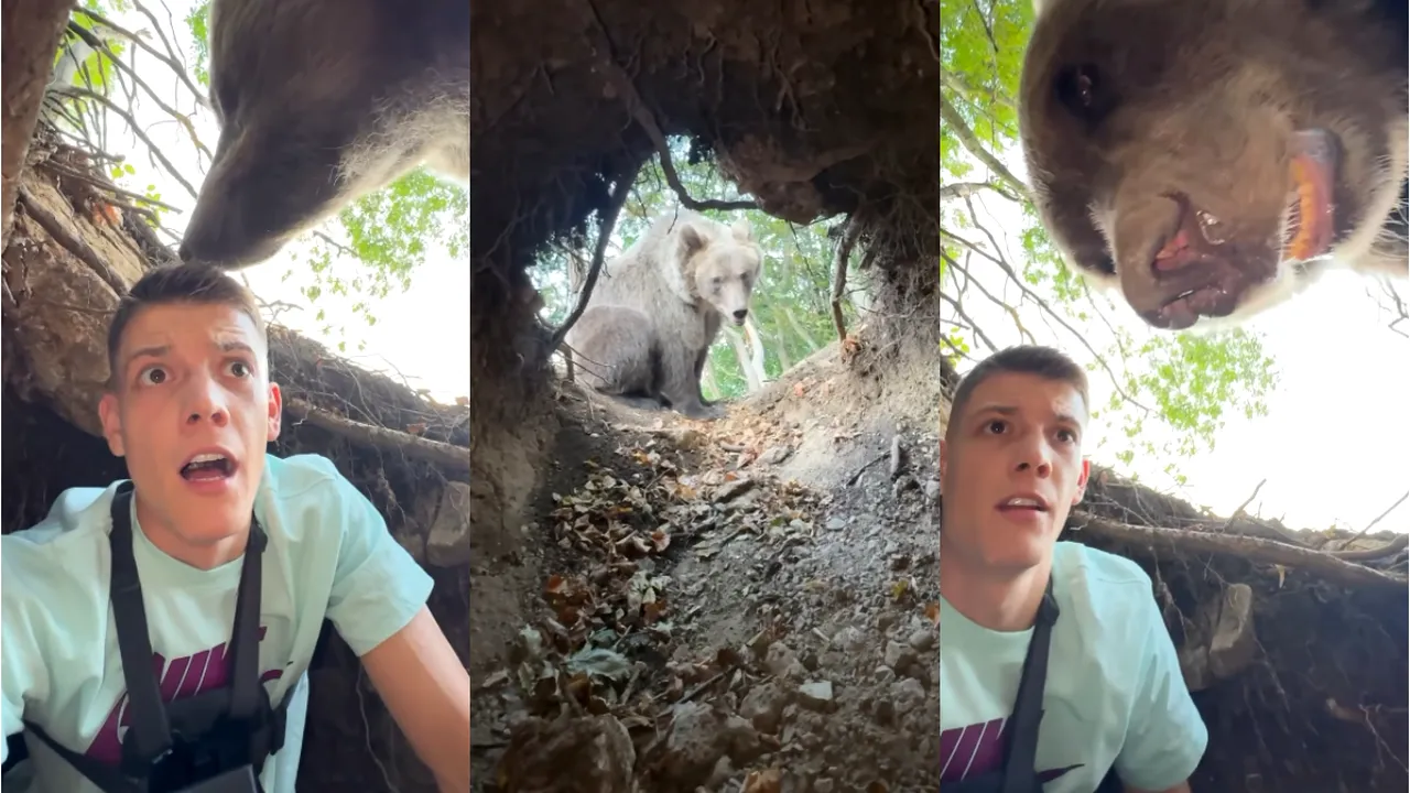 Pățania unui influencer din Serbia, în pădure. A dat nas în nas cu ursul: „Mă atacă”