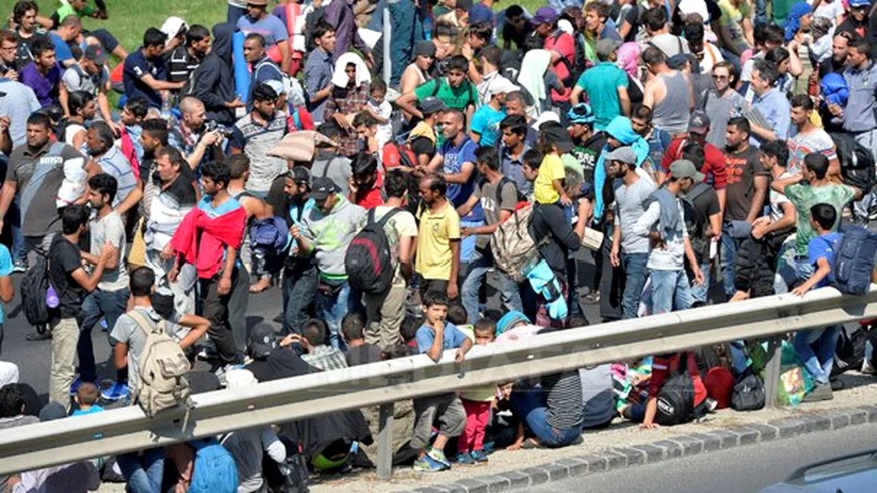 Descinderi ale Poliției Române la membrii unei rețele de trafic de migranți. Cum opera gruparea