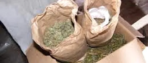 Cinci traficanți de droguri care au adus din Grecia zece kilograme de canabis sunt cercetați