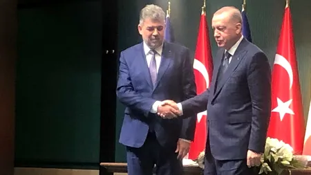 Marcel Ciolacu ANUNȚĂ că vor fi reluate exporturile şi tranzitul cu carne şi animale vii în Turcia