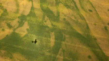 Cotația internațională a porumbului atinge un nivel record, după seceta gravă din SUA