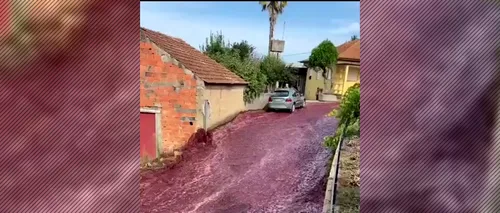 VIDEO | Oraș din Portugalia, invadat de un râu de culoare roșie după ce din două rezervoare s-au vărsat, din greșeală, milioane de litri de vin