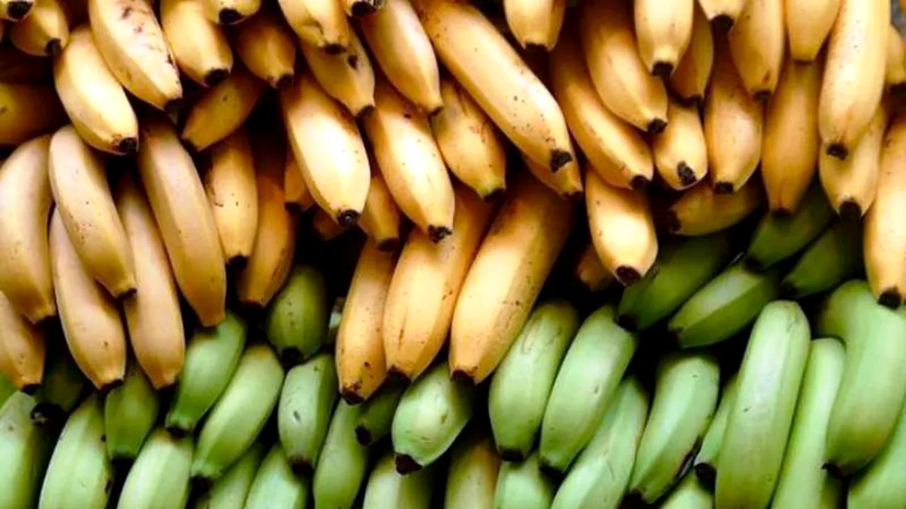 DIETĂ EXTREMĂ. Cum arată tânăra care mănâncă 51 de banane în fiecare zi