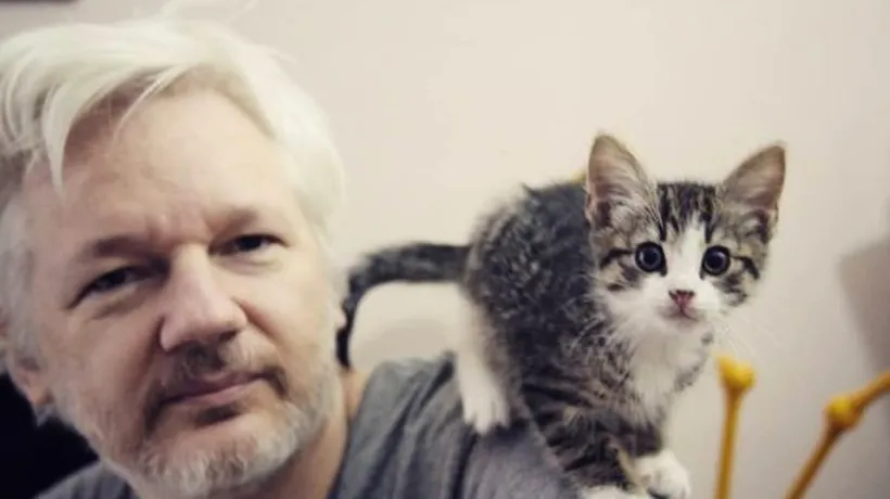 Internetul dorește răspunsuri: Ce s-a întâmplat cu pisica lui Julian Assange?