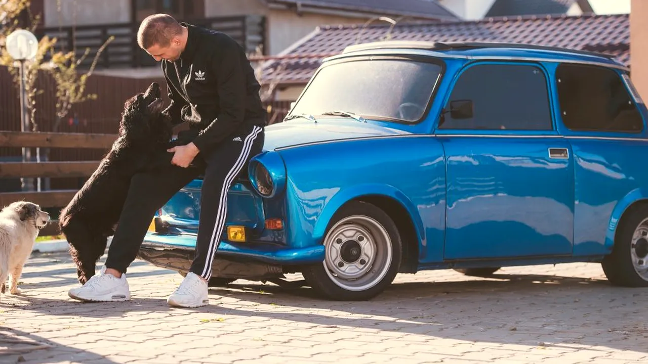 Ștefan Mandachi dă Statul în judecată pentru că nu se ocupă de câinii maidanezi: „Mai scrie careva virale despre iubirea față de câini a Cristinei Țopescu?/ TU ești ticălosul, Statule ipocrit! Când te prefaci că nu-ți dai seama”