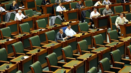 Senatorii intră în vacanță electorală. Rușanu: Vom lucra în teritoriu în perioada 1-19 noiembrie