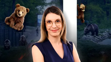 Diana Buzoianu în vizită la CASA de CORECȚIE pentru Urși de la Brașov. Când va fi finalizat noul sanctuar pentru fiarele problemă