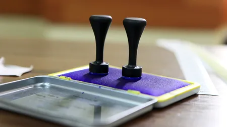 RADU ȘTEFAN OPREA VS RADU OPREA. Fost prefect, administrator a 12 firme vs strugar cu apartament în Ferentari