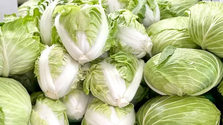 Producția de varză românească, mai slabă anul acesta. Leguma se vinde și la 6 LEI/kilogramul în magazine