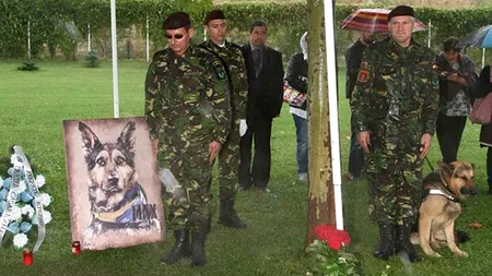 Max, câinele erou al Armatei Române, înmormântat cu onoruri militare. IMAGINI emoționante din timpul ceremoniei