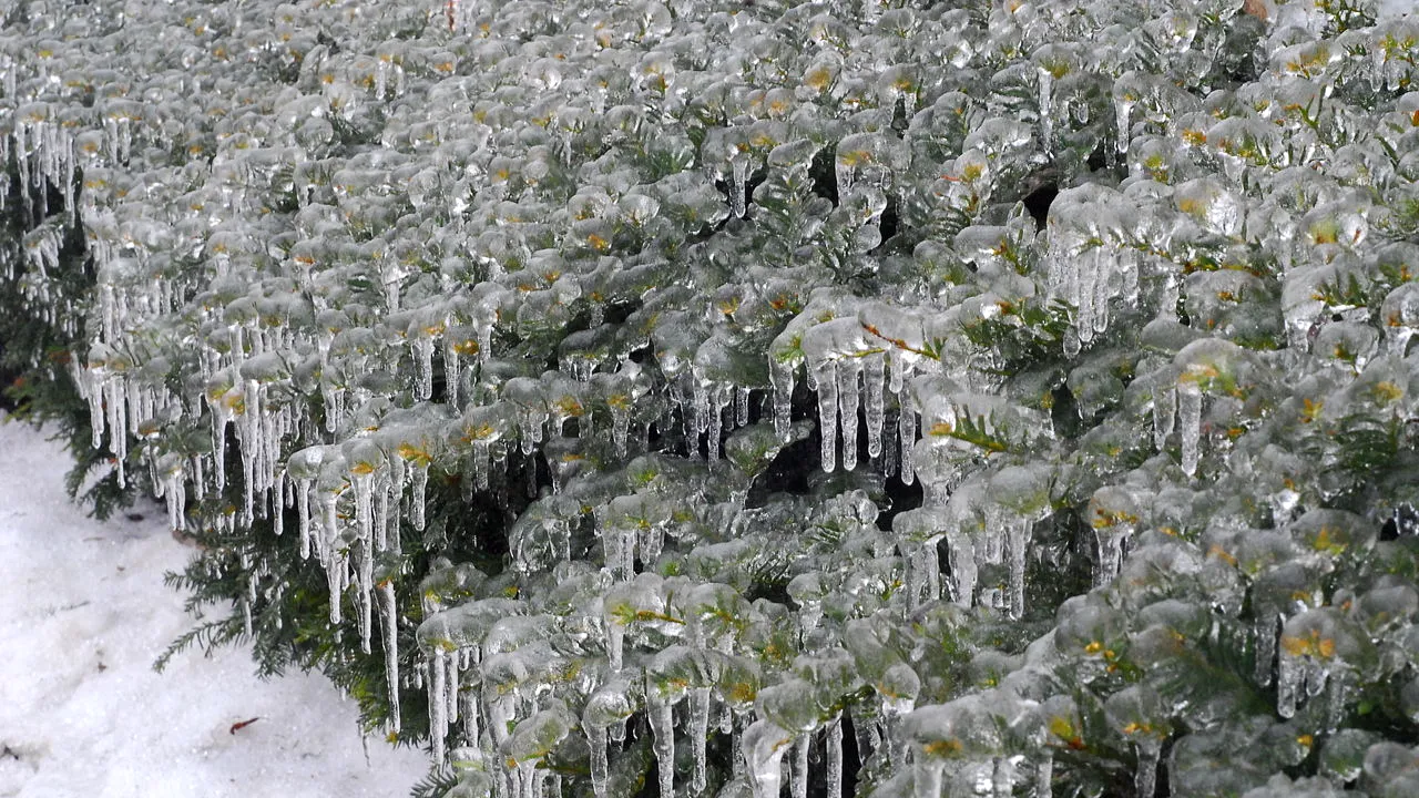 România, lovită de un val de aer polar. ANM anunță temperaturi de -15 grade Celsius/Unde va ninge viscolit