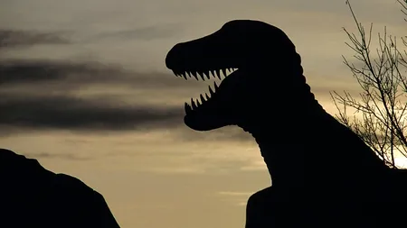 Tiranozaurul, confirmat ca prădător feroce