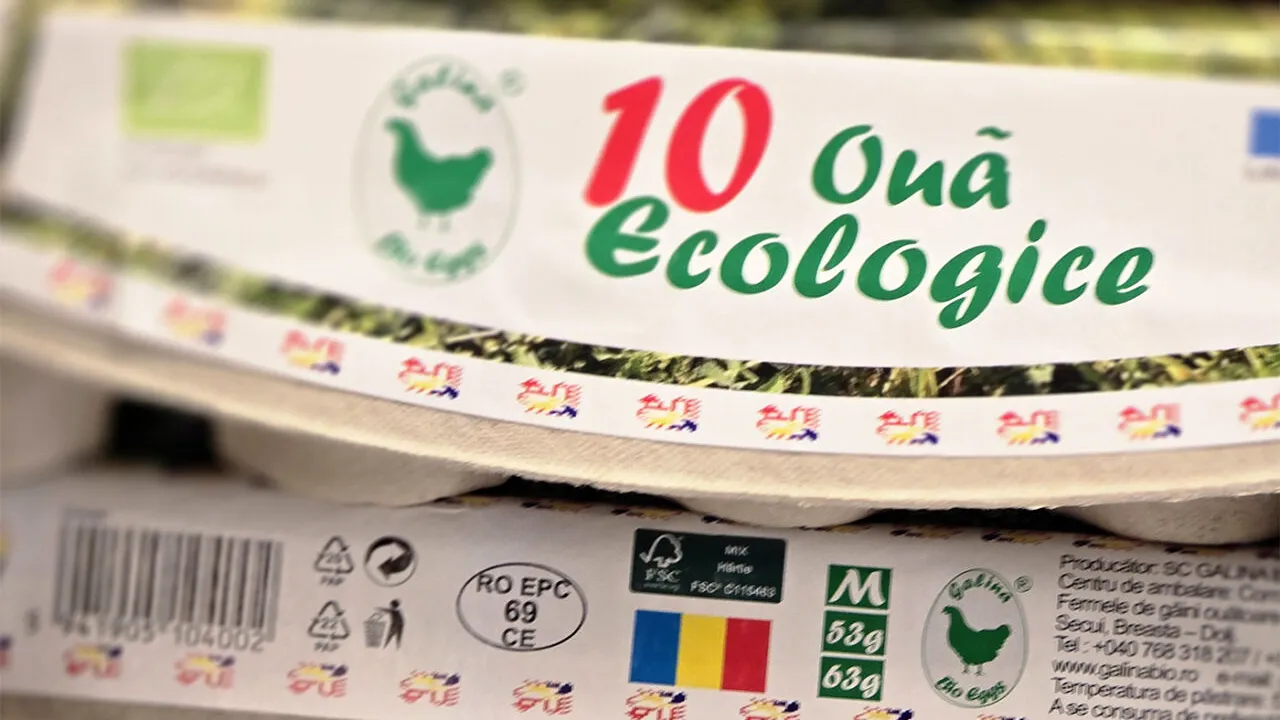 Când oul e mai scump decât găina...Cât costă un cofraj cu ouă ecologice în Kaufland?