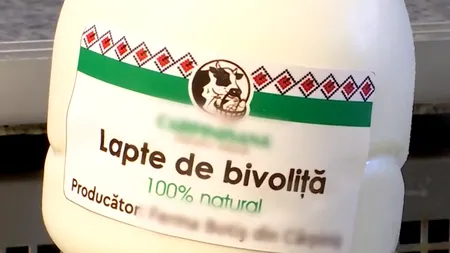 Laptele de BIVOLIȚĂ, care e mai sănătos decât cel de vacă, este din ce în ce mai căutat de clienți. Cu cât vând litrul fermierii români